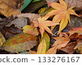 Autumn leaves 133276167