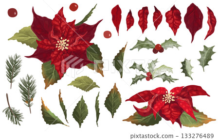 一品紅和冬青向量插圖集 133276489