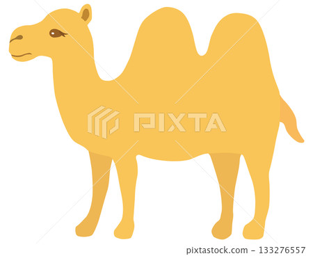 Simple camel illustration vector material 133276557