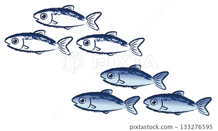 鳀魚 133276595