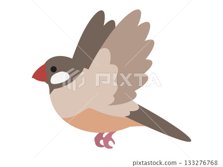 Vector illustration of a cute flying cinnamon finch 133276768