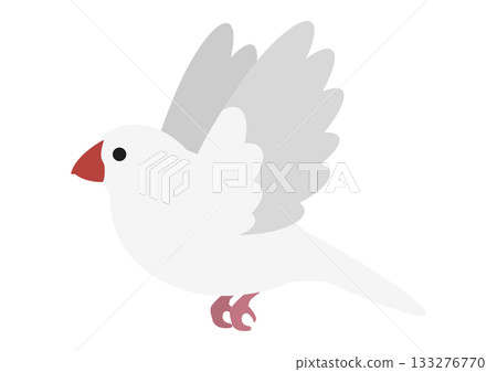 Vector illustration of a cute flying white Java sparrow 133276770