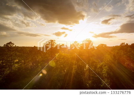 Golden sunlight filters through trees as sun sets over peaceful landscape, creating soothing atmosphere. Golden sunlight filters through trees as sun sets over peaceful landscape, creating soothing atmosphere. 133276776