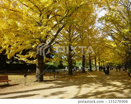 Fall of the year Fall of the year 133276906
