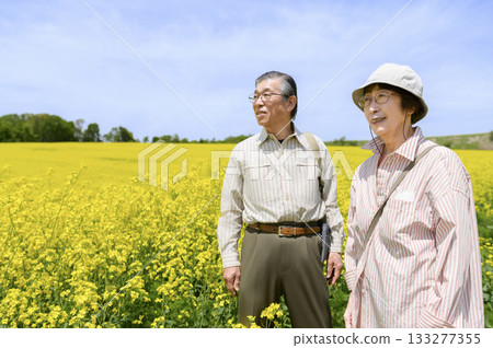 Senior couple sightseeing in a field of rapeseed flowers in full bloom (strong retouching version) Senior couple sightseeing in a field of rapeseed flowers in full bloom (strong retouching version) 133277355