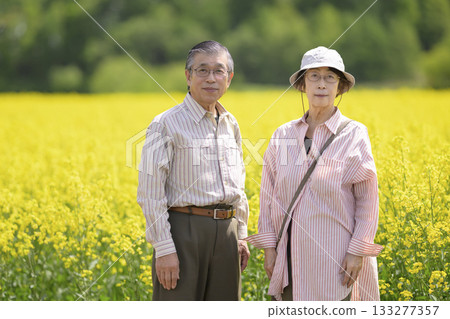 Senior couple sightseeing in a field of rapeseed flowers in full bloom (strong retouching version) Senior couple sightseeing in a field of rapeseed flowers in full bloom (strong retouching version) 133277357