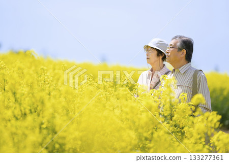 一對老年夫婦在盛開的油菜花田中觀光（高度修圖版） 133277361