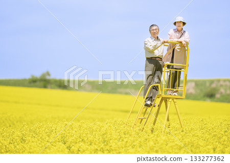 一對老年夫婦在盛開的油菜花田中觀光（高度修圖版） 133277362