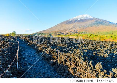 秋季，從岩手縣八幡平市的燒走熔岩流上可以看到岩手山的積雪和秋葉。 133277520