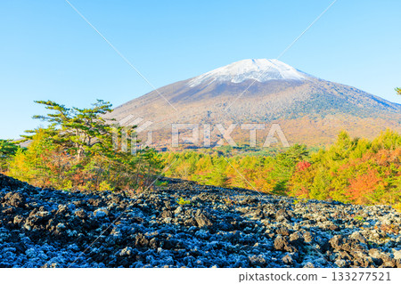 秋季,從岩手縣八幡平市的燒走熔岩流上可以看到岩手山的積雪和秋葉。 秋季,從岩手縣八幡平市的燒走熔岩流上可以看到岩手山的積雪和秋葉。 133277521