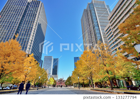Yellow ginkgo trees and skyscrapers seen from Gyoko-dori Yellow ginkgo trees and skyscrapers seen from Gyoko-dori 133277794