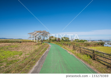 Biwako Yoshibue Road, a cycling road along Lake Nishinoko, Omihachiman City, Shiga Prefecture Biwako Yoshibue Road, a cycling road along Lake Nishinoko, Omihachiman City, Shiga Prefecture 133278369