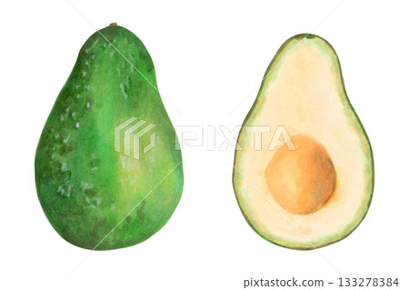 Whole avocado and halves. Botanical illustration with watercolor and marker. Hand drawn isolated art. Fruit for food or cosmetic packaging design, menus. Cookbook. 133278384