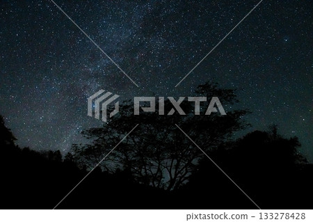 A night sky filled with stars and silhouettes of trees. A natural landscape enveloped in silence. A night sky filled with stars and silhouettes of trees. A natural landscape enveloped in silence. 133278428