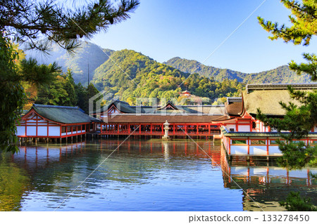 Miyajima Momijidani Park and Itsukushima Shrine, the best time to see autumn leaves 133278450