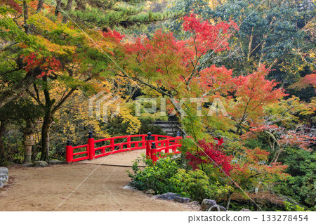Miyajima Momijidani Park and Itsukushima Shrine, the best time to see autumn leaves 133278454