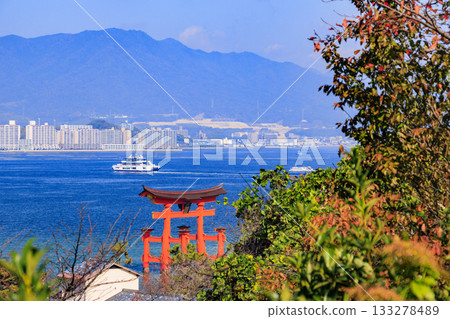 Miyajima Momijidani Park and Itsukushima Shrine, the best time to see autumn leaves 133278489