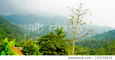 beautiful view of green hills with fog beautiful view of green hills with fog 133278559