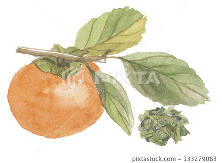 水彩畫中的柿子和茶葉 133279083