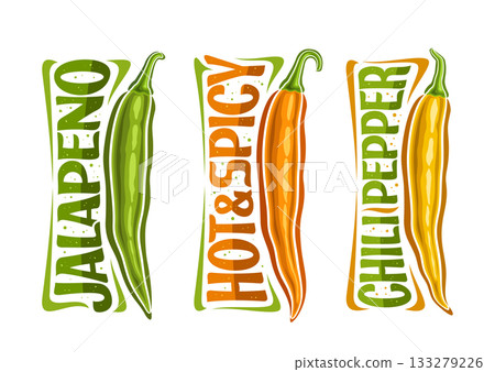 Vector Chili Pepper Set Vector Chili Pepper Set 133279226