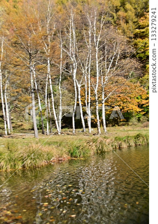 Autumn scenery behind Ryugasawa Dam Lake 133279241