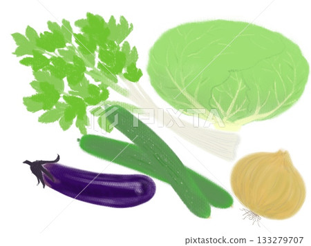 Light-colored vegetable illustrations, hand-drawn 133279707