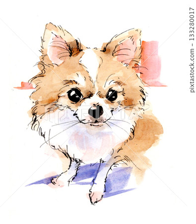 可愛的吉娃娃水彩肖像插畫 可愛的吉娃娃水彩肖像插畫 133280017