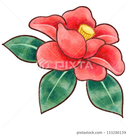 Hand drawn raster illustration of camellia flower 133280139