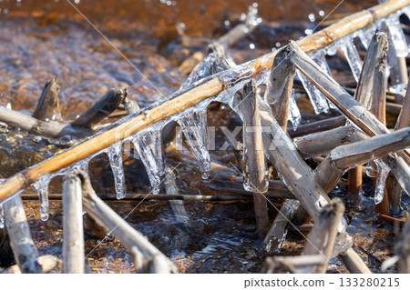A close-up of jagged icicles hanging from dry reed stems along a icy riverbank 133280215