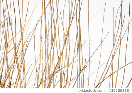 Abstract minimal photo featuring natural pattern of dry reed stems 133280216