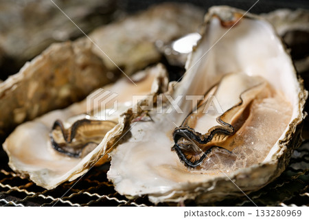 Charcoal grilled oysters 133280969