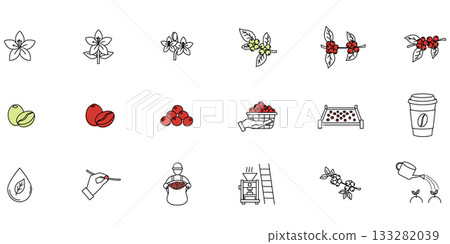 cherry ripening, harvesting, drying, sorting, and roasting. The set serves as a concise visual summary of coffee cultivation and processing. cherry ripening, harvesting, drying, sorting, and roasting. The set serves as a concise visual summary of coffee cultivation and processing. 133282039