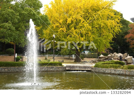 有噴泉的公園 133282094