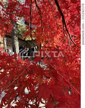 秋葉間隱約可見的舞獅表演（11月，長野縣松本市志賀神社） 133282178