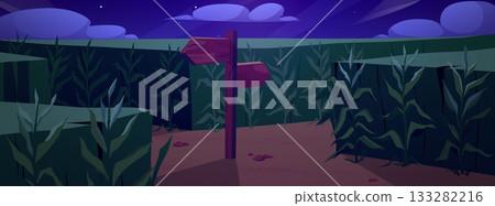 Corn field at night with wooden road pointers and high maize plant stems, vector cartoon choice of way, labyrinth, maze Corn field at night with wooden road pointers and high maize plant stems, vector cartoon choice of way, labyrinth, maze 133282216