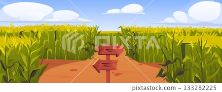 Corn field with wooden road pointers and high green maize plant stems, vector cartoon choice of way, labyrinth, maze Corn field with wooden road pointers and high green maize plant stems, vector cartoon choice of way, labyrinth, maze 133282225