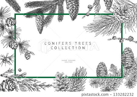 Green rectangular frame of various conifer branches and cones, monochrome, hand-drawn. 133282232