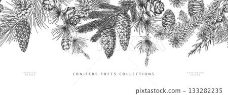 Black and white banner with a seamless top border of various pine branches and cones. 133282235