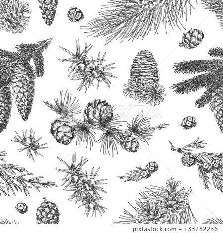 Seamless wallpaper of coniferous tree branches and cones, vintage engraved hand-drawn style. 133282236