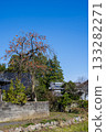 Landscape with persimmon trees in Satoyama 133282271