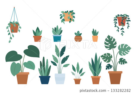 綠色室內插圖，配以觀賞植物 133282282