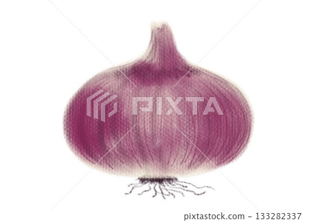 Illustration of purple onion Illustration of purple onion 133282337