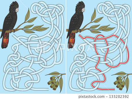 Cockatoo Maze Illustration 133282392