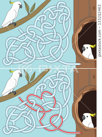 Cockatoo maze 133282463
