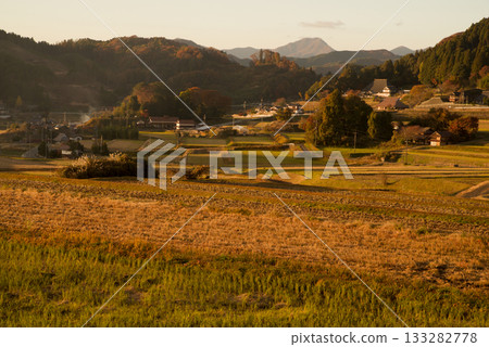 Evening view: Connecting rice terrace heritage: Mikawa's rice terraces in late autumn, Tetsuana Remaining Hill, Mount Sarumasa 133282778