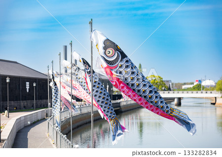 [Handa City] Carp streamers at Handa Canal 133282834