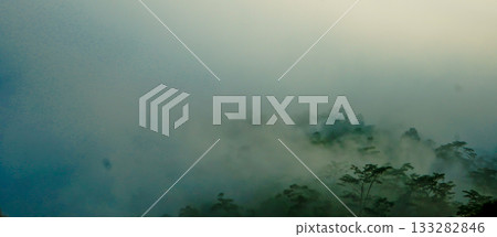 beautiful view of tropical rainforest shrouded in mist beautiful view of tropical rainforest shrouded in mist 133282846