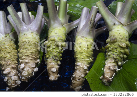 Freshly picked wasabi Freshly picked wasabi 133282866