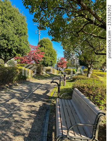 Benches and a promenade with sunlight filtering through the trees 133282952