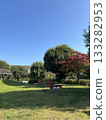公園裡有藍天和綠樹 公園裡有藍天和綠樹 133282953